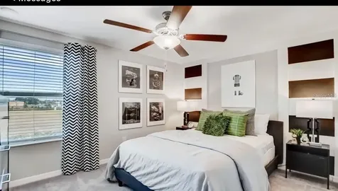 5059 White Chicory Drive Apollo Beach FL 33572