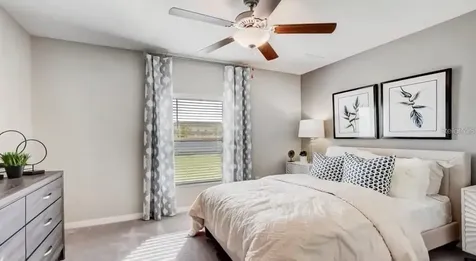 5059 White Chicory Drive Apollo Beach FL 33572