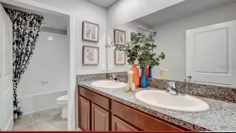 5059 White Chicory Drive Apollo Beach FL 33572