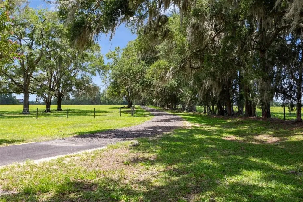 3201 NW 202 Street Newberry FL 32669