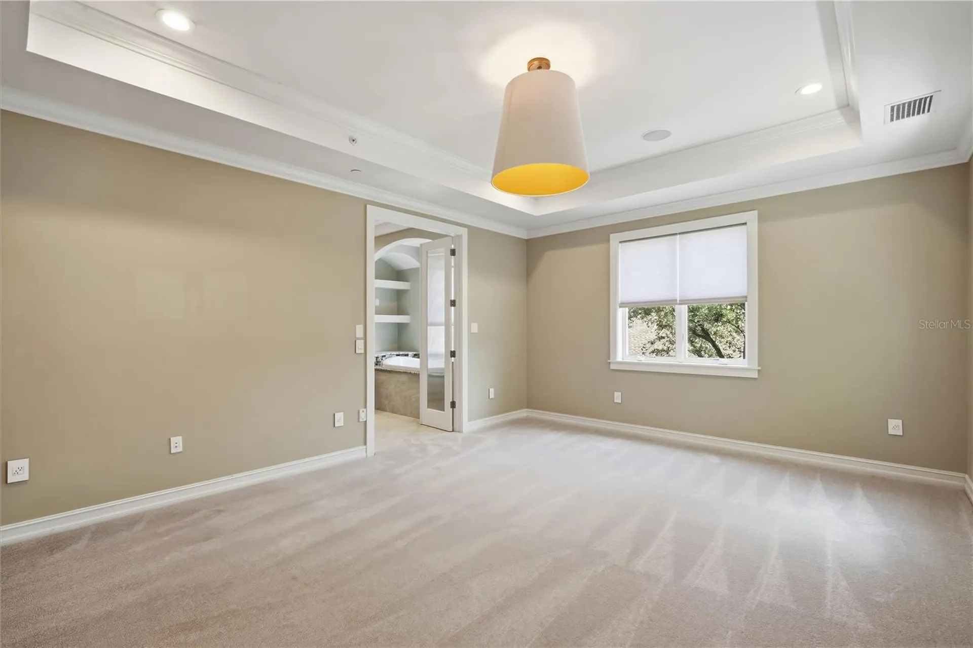 1465 Hillside Landing Drive Tarpon Springs FL 34688