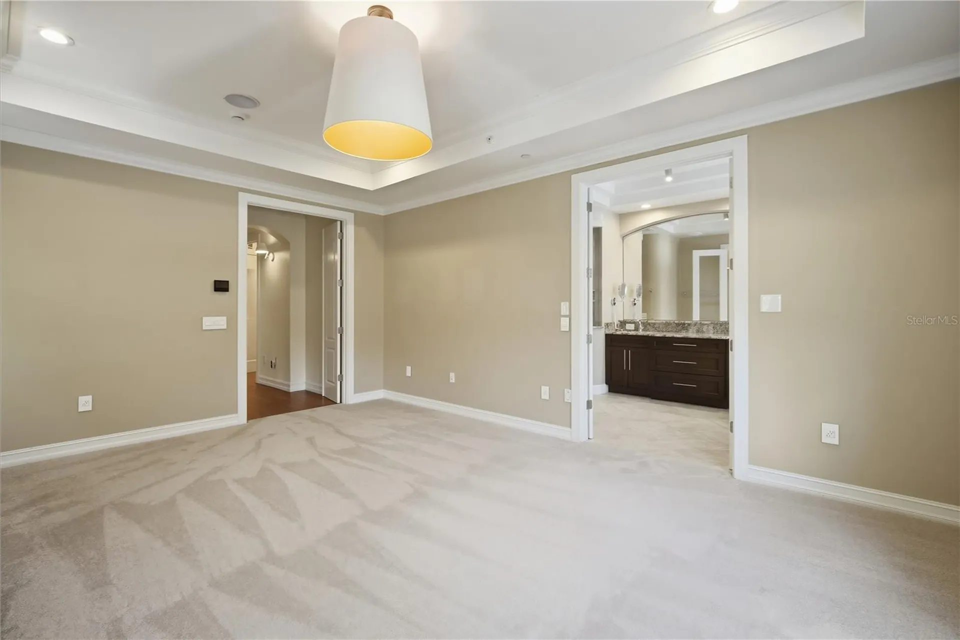 1465 Hillside Landing Drive Tarpon Springs FL 34688