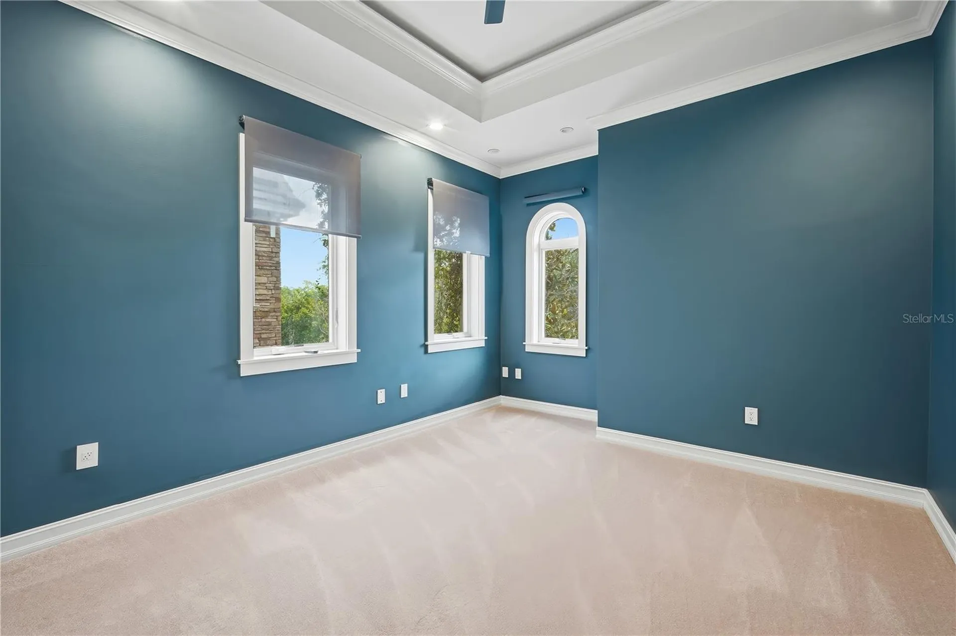 1465 Hillside Landing Drive Tarpon Springs FL 34688