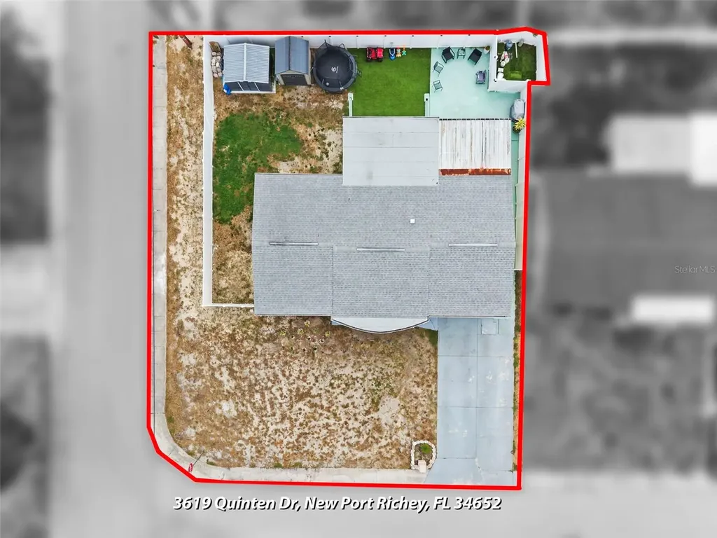 3619 Quinten Drive New Port Richey FL 34652