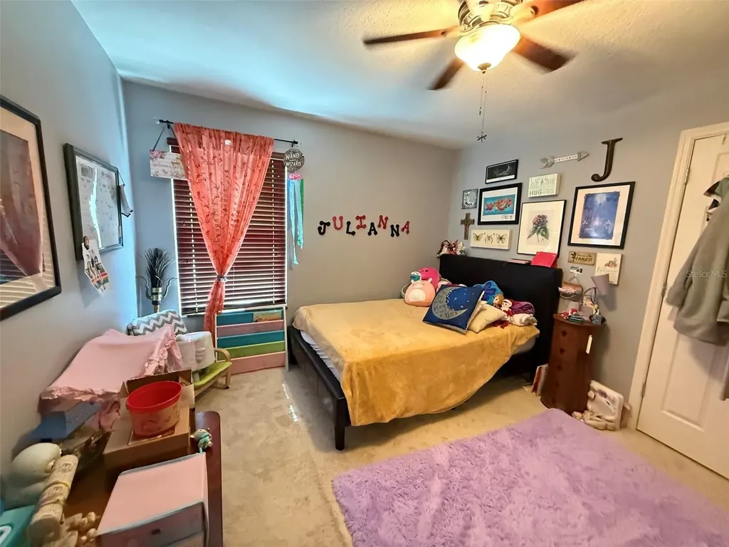 2228 Napone Lane Minneola FL 34715