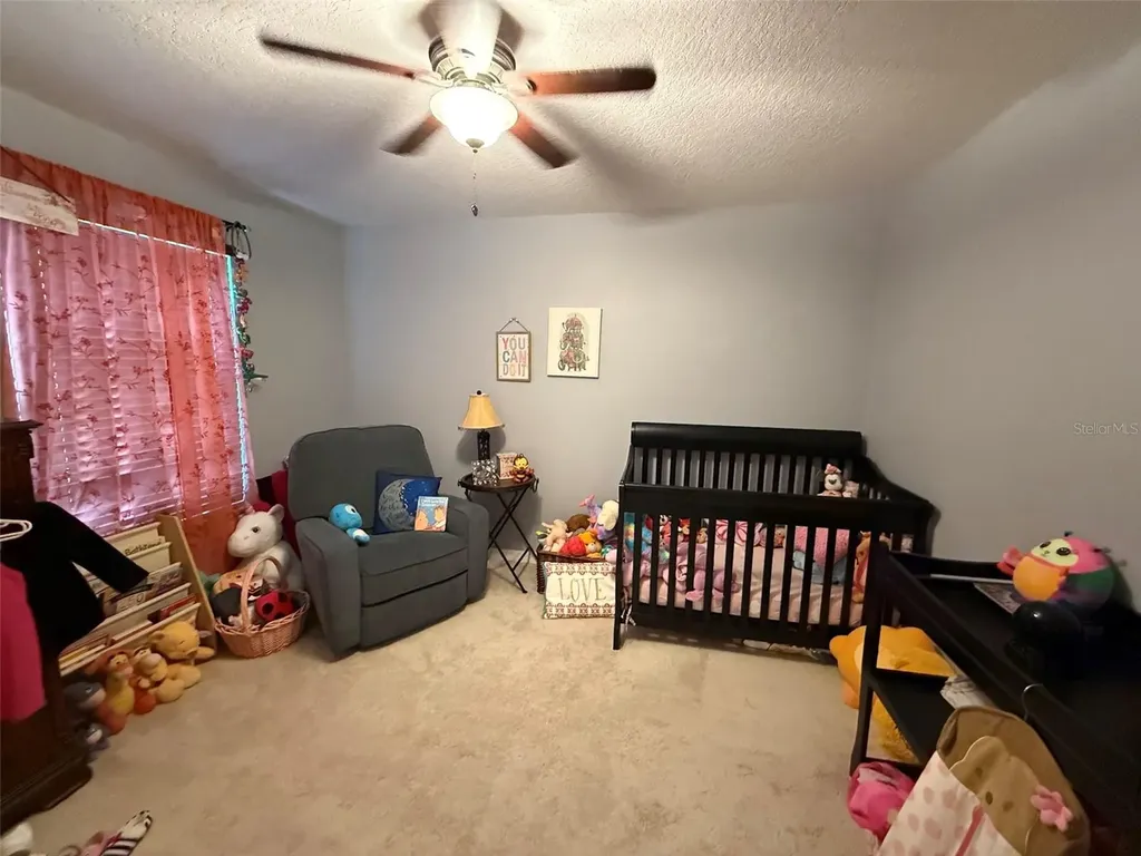 2228 Napone Lane Minneola FL 34715