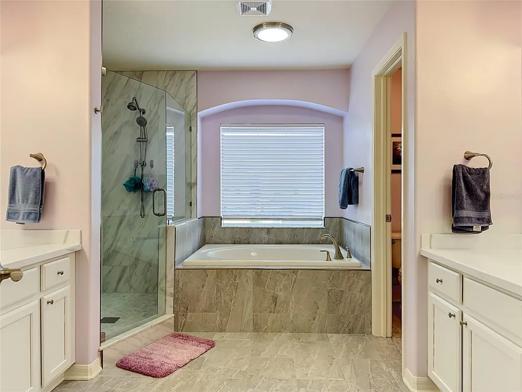 11441 Dutch Iris Drive Riverview FL 33578