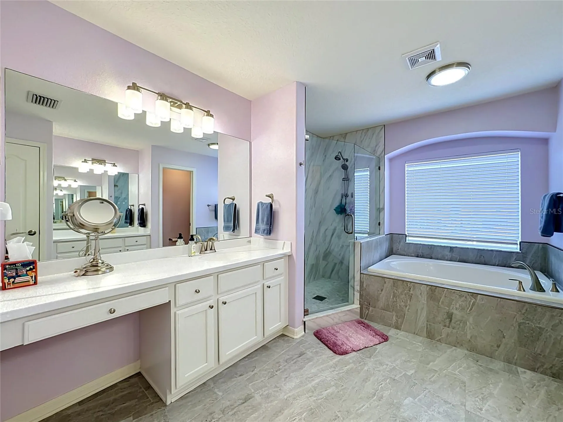 11441 Dutch Iris Drive Riverview FL 33578