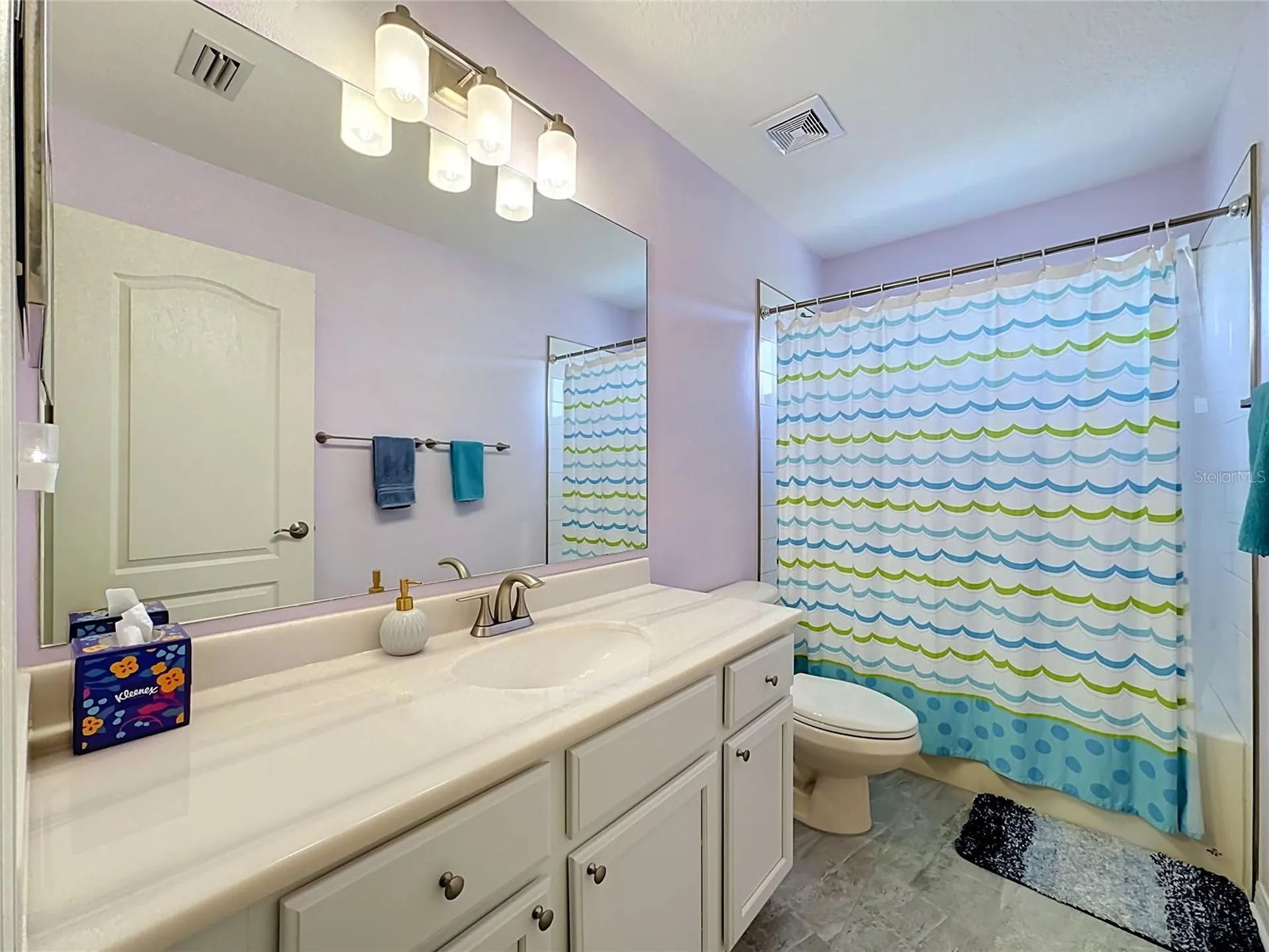 11441 Dutch Iris Drive Riverview FL 33578