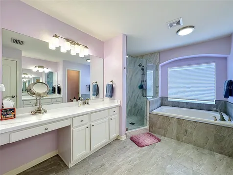 11441 Dutch Iris Drive Riverview FL 33578