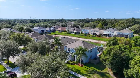 11441 Dutch Iris Drive Riverview FL 33578