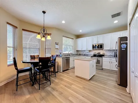 11441 Dutch Iris Drive Riverview FL 33578
