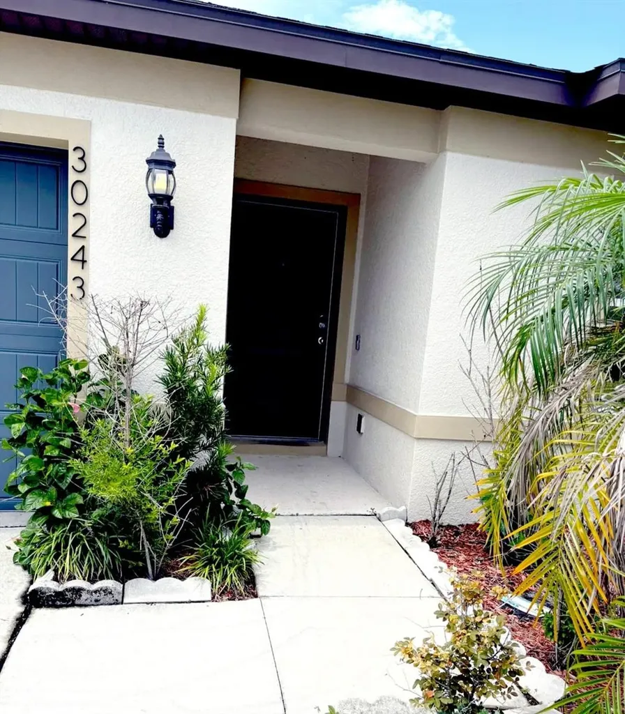 30243 Marquette Avenue Wesley Chapel FL 33545