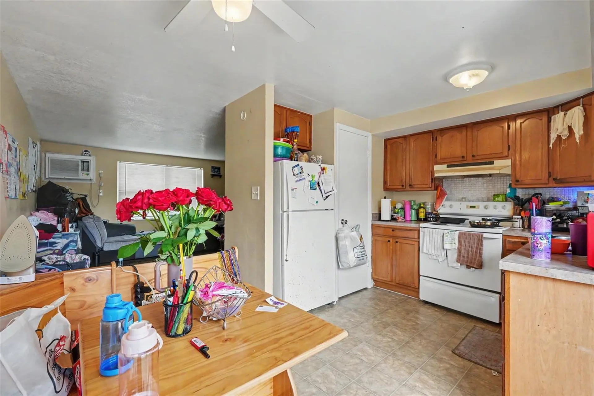 5513 Oceanic Road Holiday FL 34690