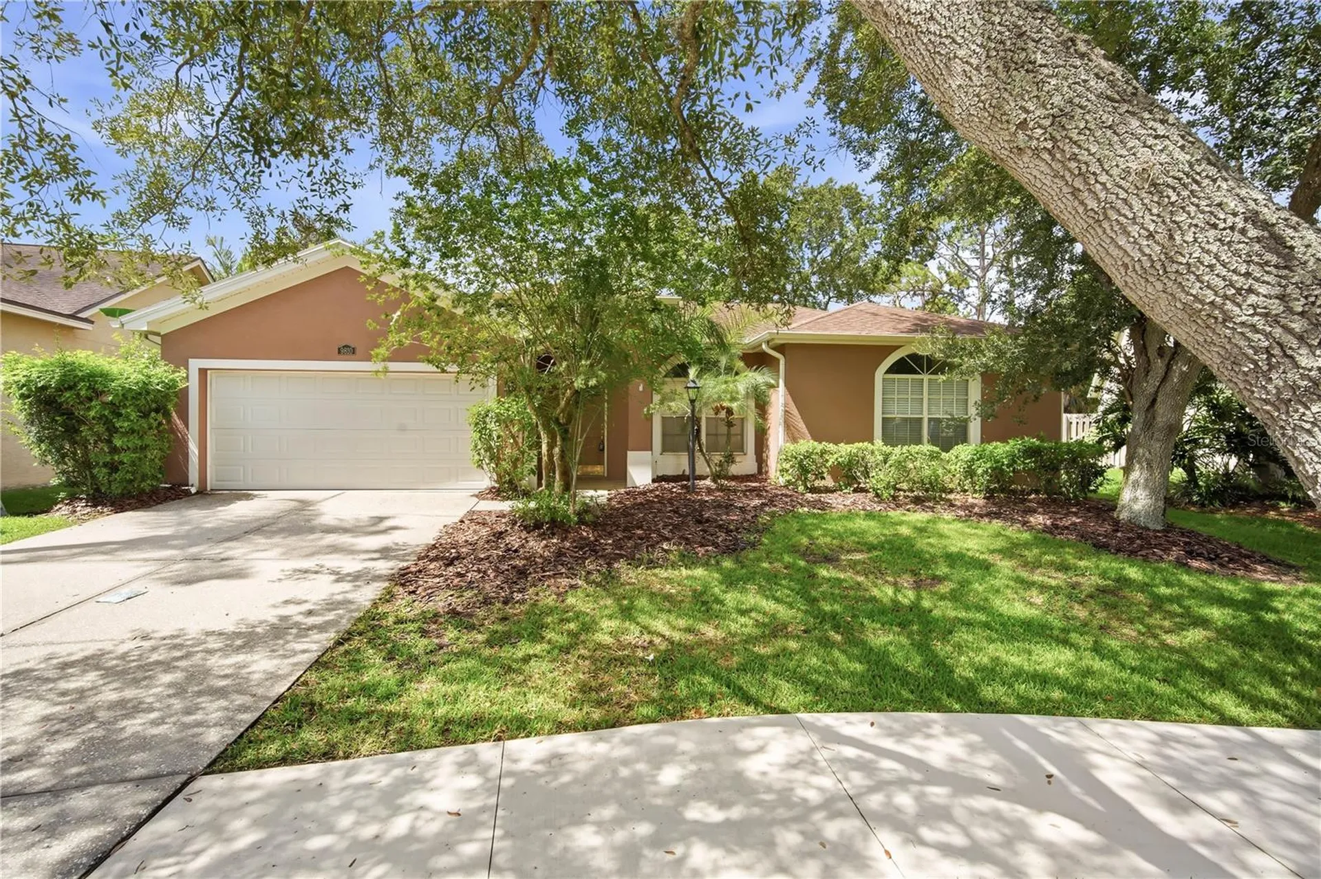 9810 Bennington Drive Tampa FL 33626