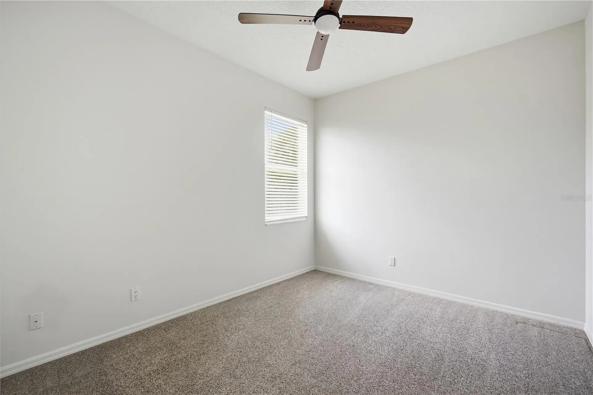 9810 Bennington Drive Tampa FL 33626