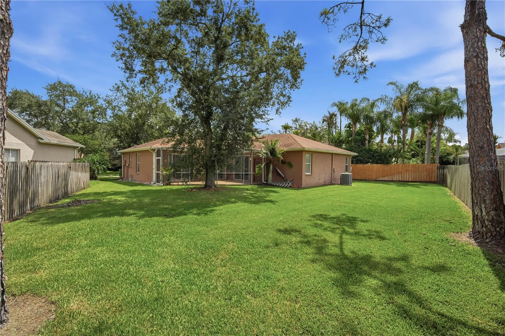 9810 Bennington Drive Tampa FL 33626