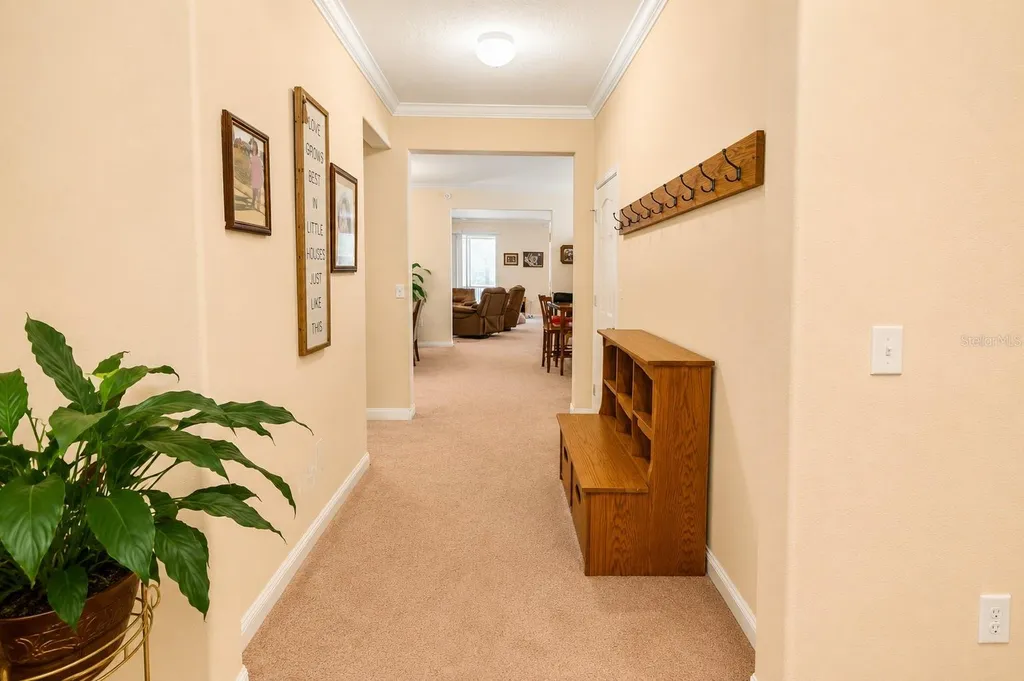 13842 Bee Tree Court Hudson FL 34669