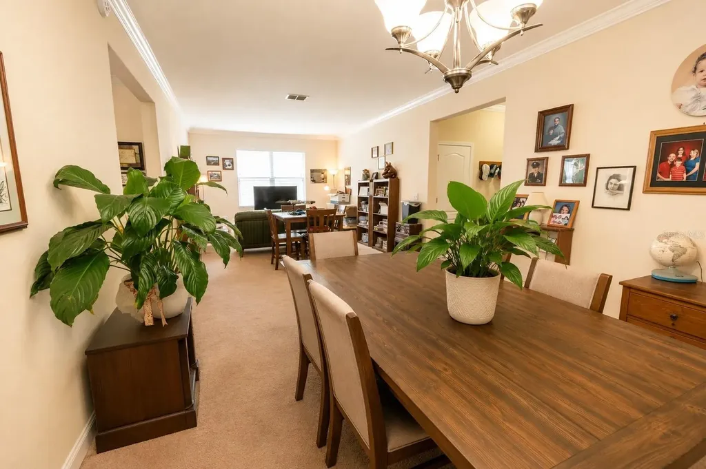 13842 Bee Tree Court Hudson FL 34669