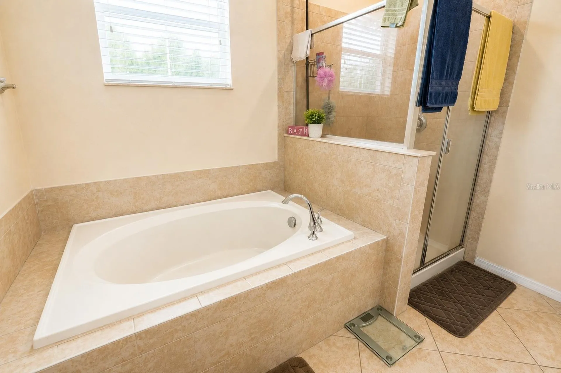 13842 Bee Tree Court Hudson FL 34669
