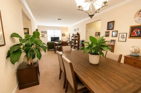 13842 Bee Tree Court Hudson FL 34669