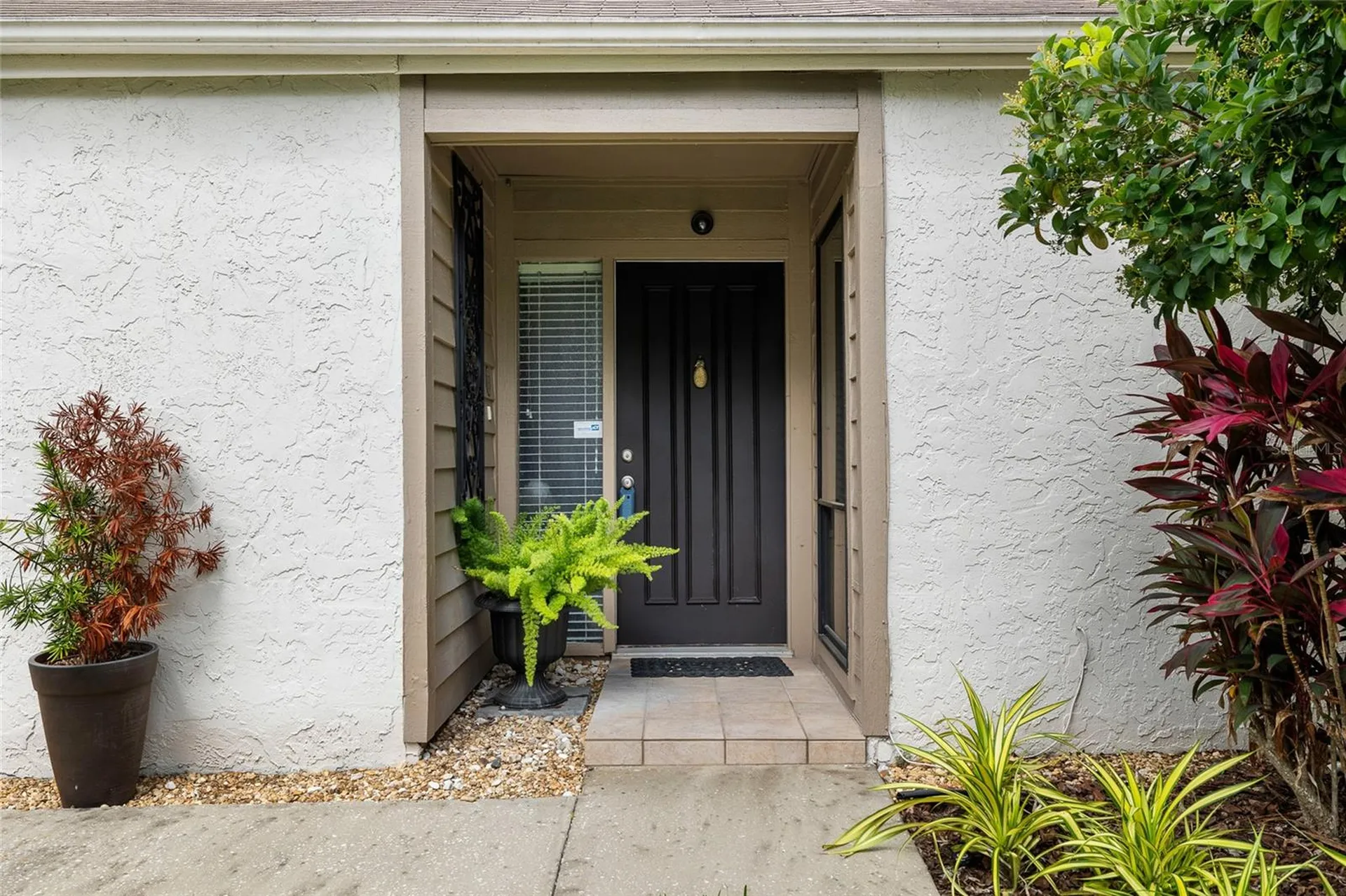 11520 Galleria Drive Tampa FL 33618