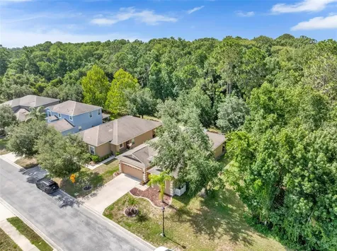 12848 White Bluff Road Hudson FL 34669