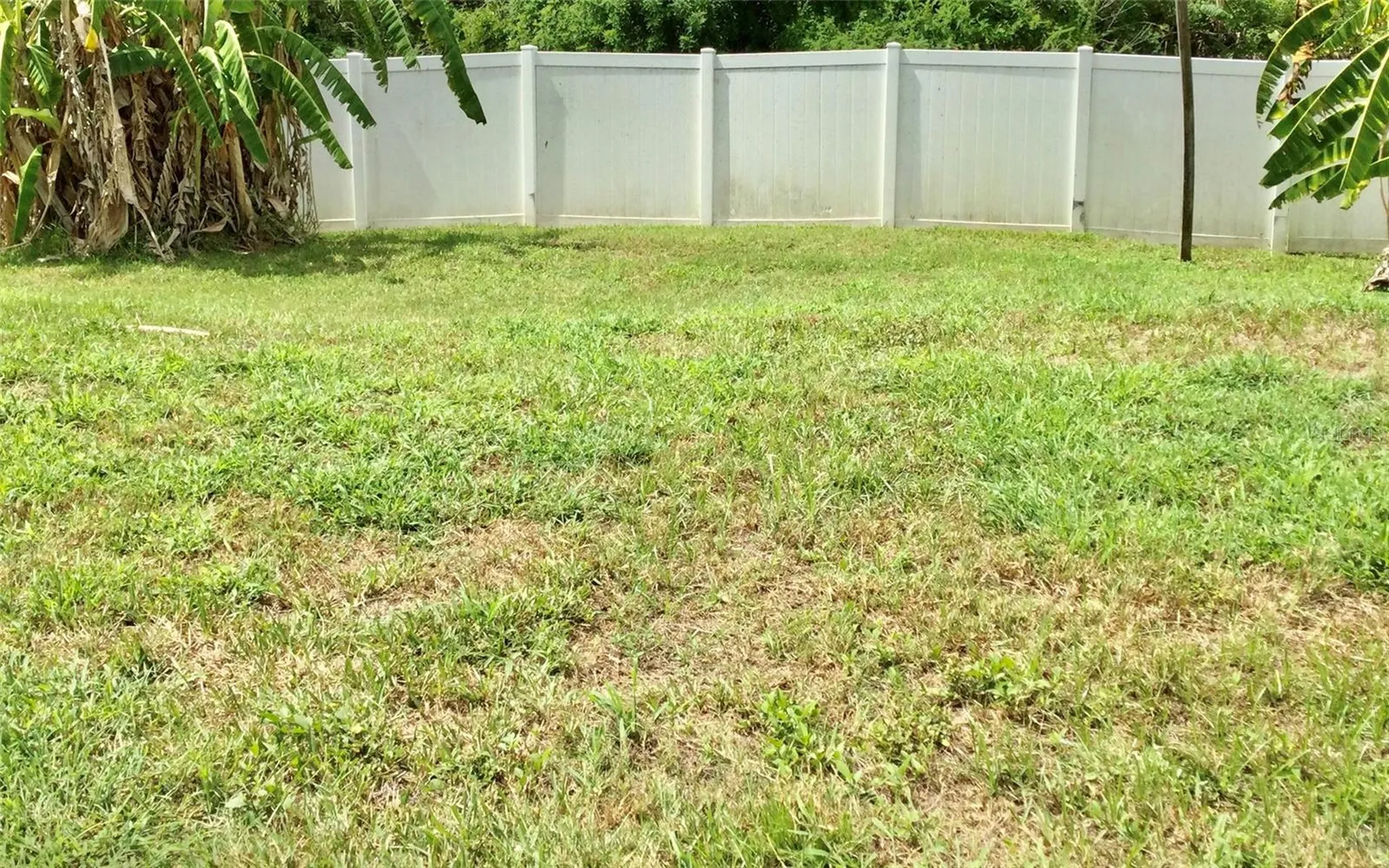 10728 Shady Preserve Drive Riverview FL 33579