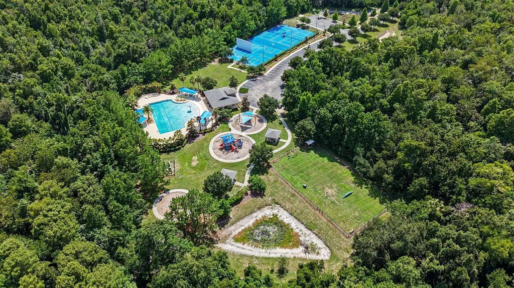 17823 Daisy Farm Drive Lutz FL 33559