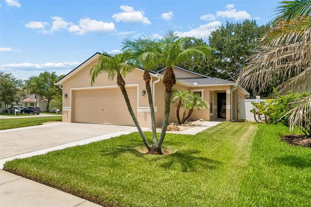 32323 Fish Hook Loop Wesley Chapel FL 33545