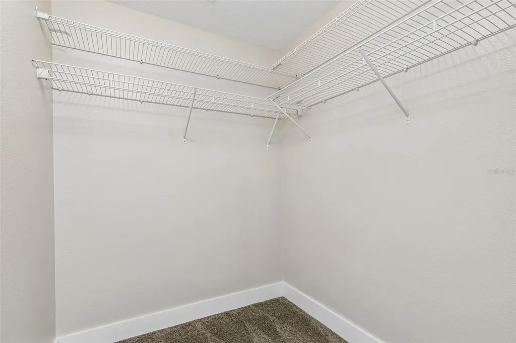 32323 Fish Hook Loop Wesley Chapel FL 33545