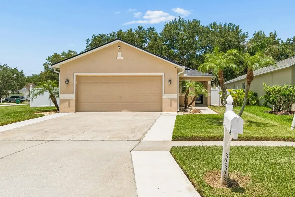 32323 Fish Hook Loop Wesley Chapel FL 33545