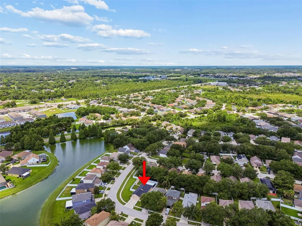 32323 Fish Hook Loop Wesley Chapel FL 33545