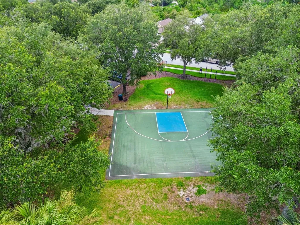 32323 Fish Hook Loop Wesley Chapel FL 33545