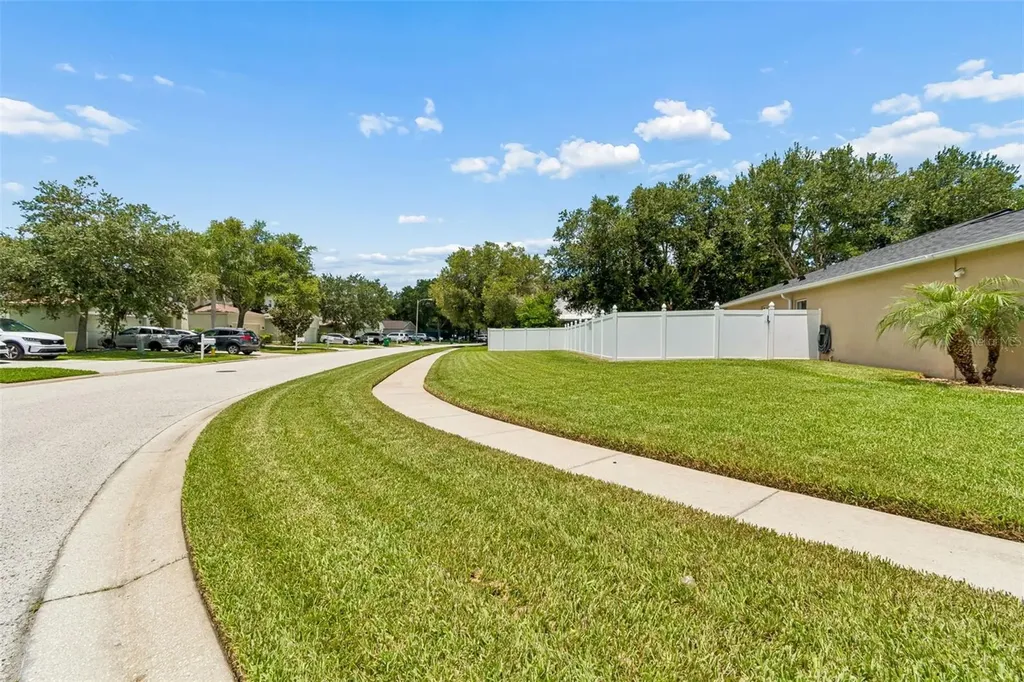 32323 Fish Hook Loop Wesley Chapel FL 33545