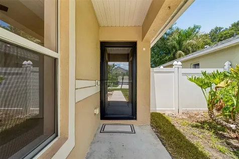 32323 Fish Hook Loop Wesley Chapel FL 33545