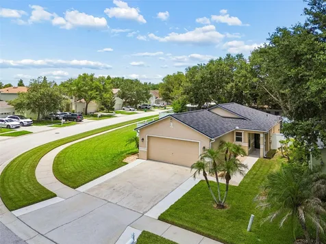 32323 Fish Hook Loop Wesley Chapel FL 33545