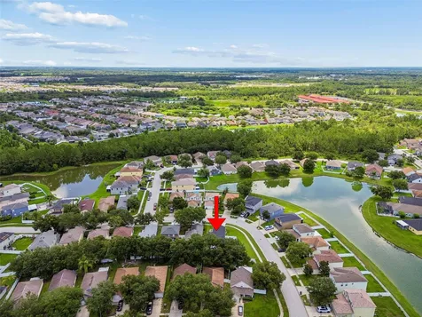32323 Fish Hook Loop Wesley Chapel FL 33545
