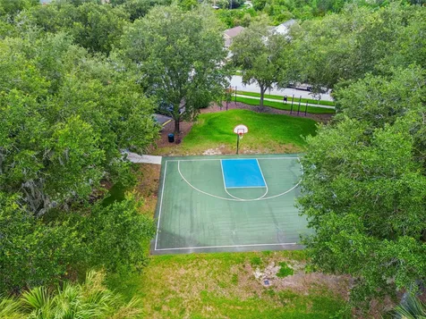 32323 Fish Hook Loop Wesley Chapel FL 33545