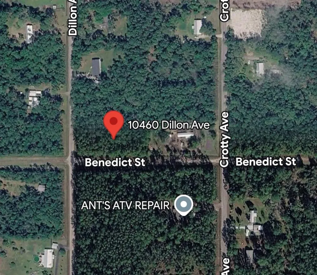 10460 Dillon Avenue Hastings FL 32145