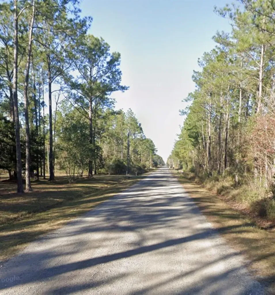 10460 Dillon Avenue Hastings FL 32145