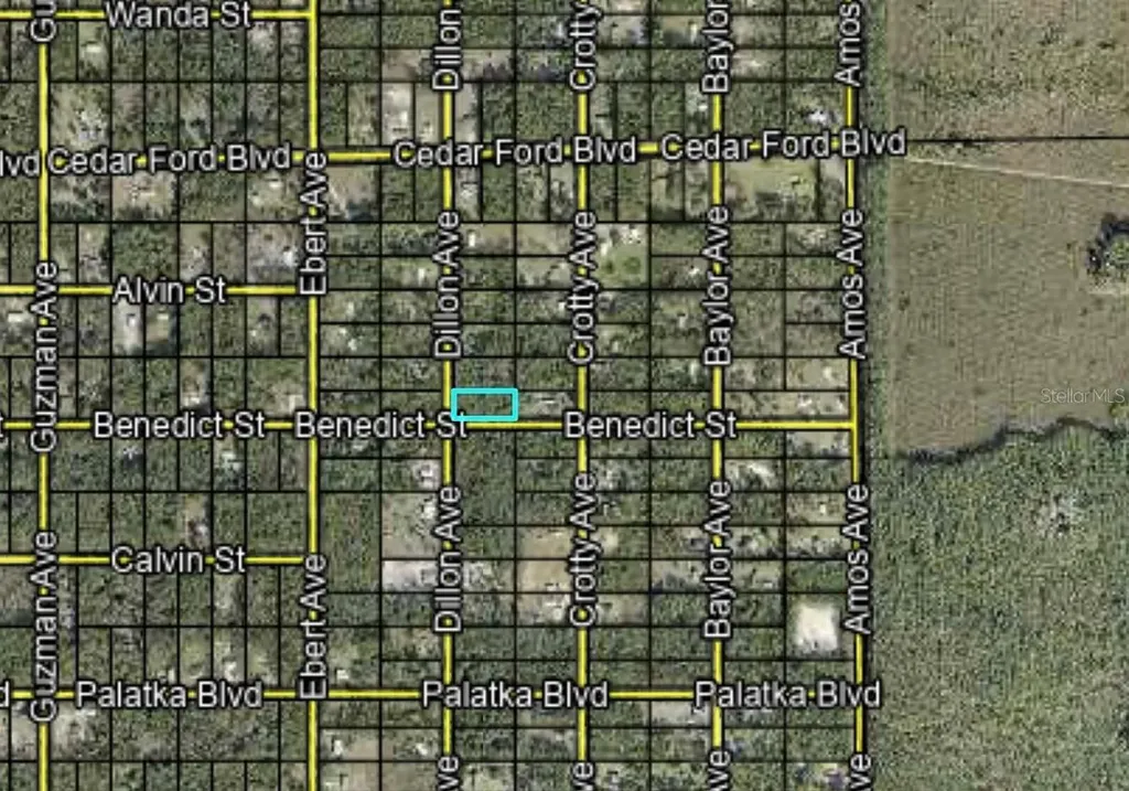 10460 Dillon Avenue Hastings FL 32145