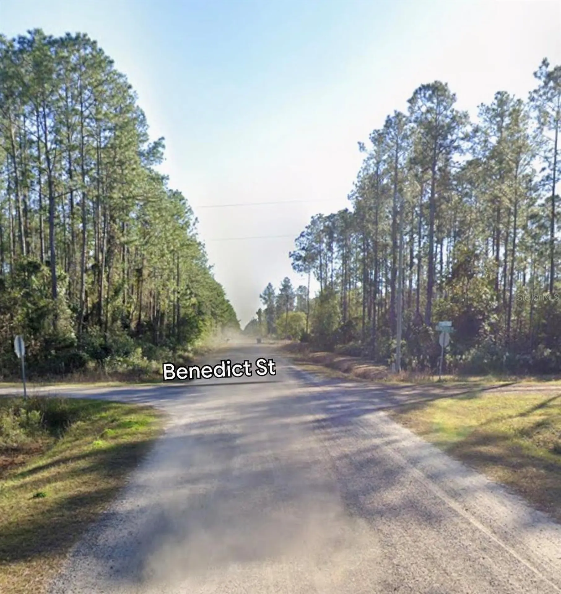10460 Dillon Avenue Hastings FL 32145