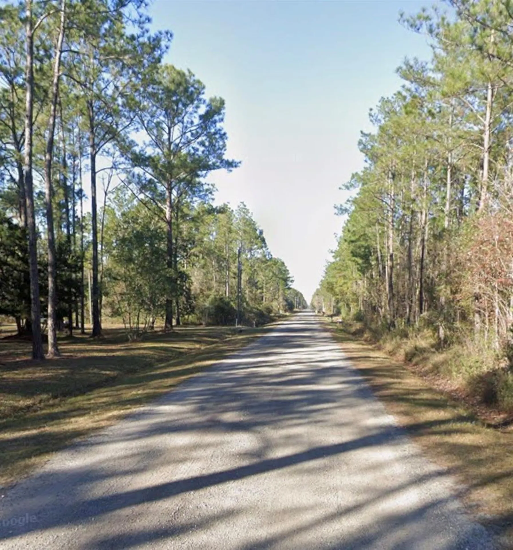 10460 Dillon Avenue Hastings FL 32145
