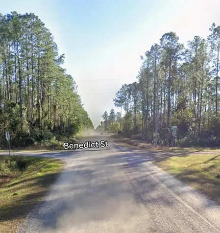 10460 Dillon Avenue Hastings FL 32145