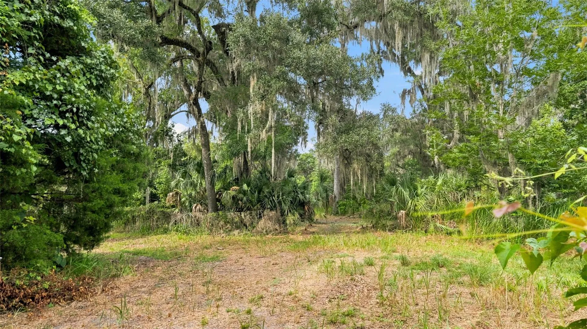 0 Cedar Lane Brooksville FL 34601