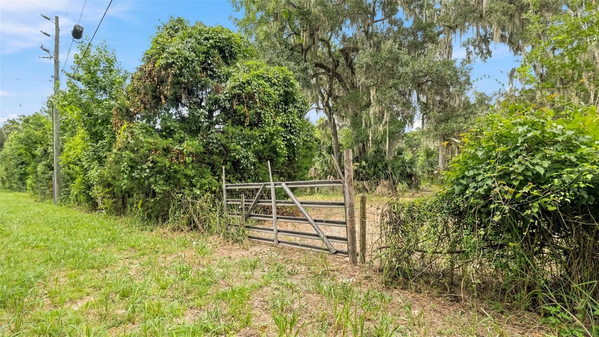 0 Cedar Lane Brooksville FL 34601