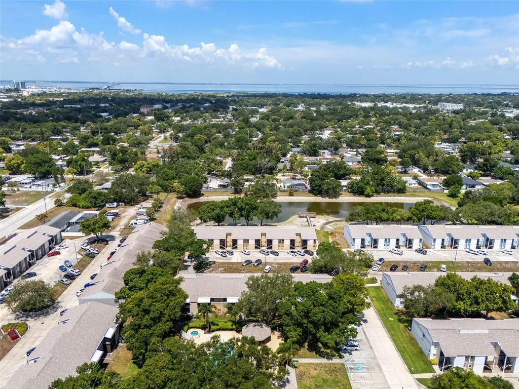 3812 N Oak Drive Tampa FL 33611