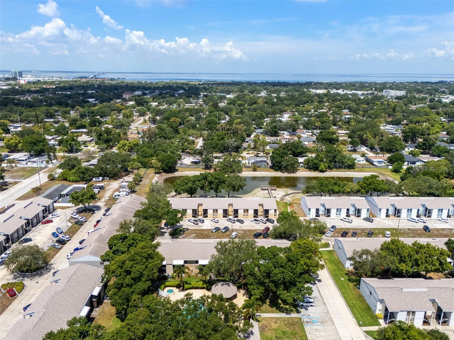 3812 N Oak Drive Tampa FL 33611