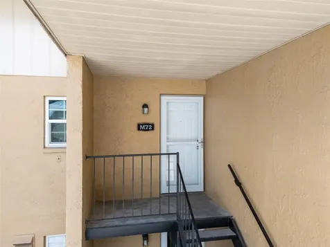 3812 N Oak Drive Tampa FL 33611